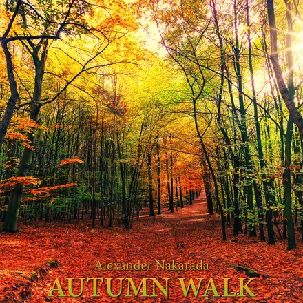 Autumn Walk