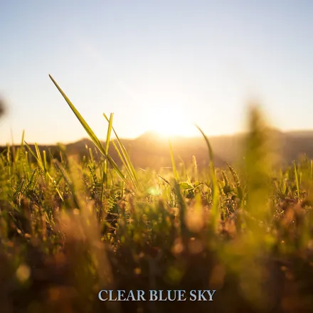 Clear Blue Sky