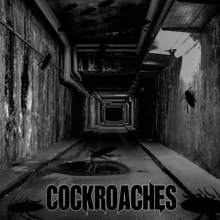 Cockroaches