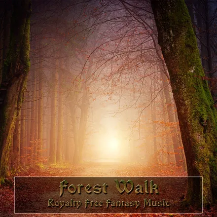 Forest Walk