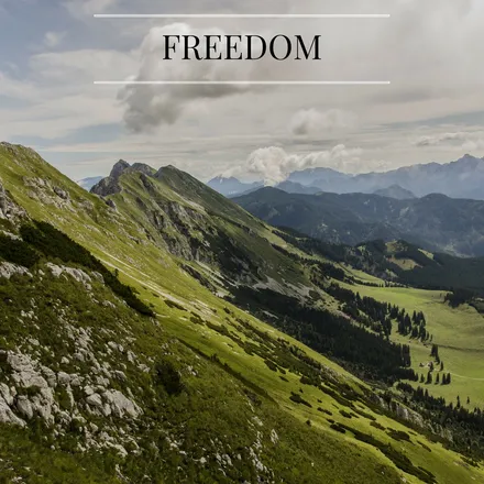 Freedom
