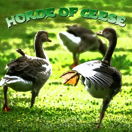 Horde of Geese
