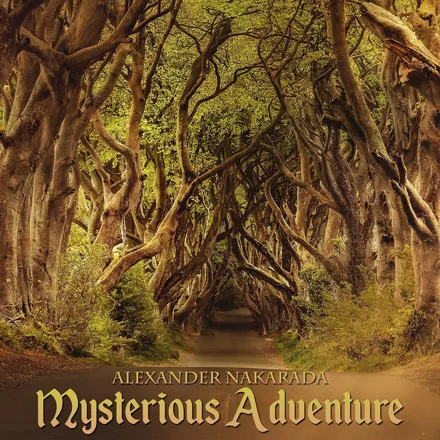 Mysterious Adventure
