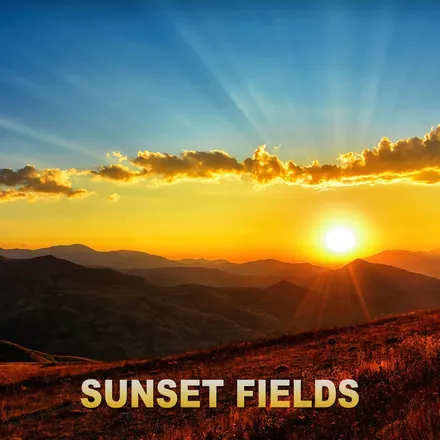 Sunset Fields